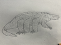 Thumbnail for version as of 23:47, 1 May 2026