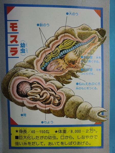 File:Mothra Larva Kabou Zukan Anatomy.jpg