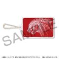 PIICA + pass case