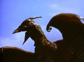 Rodan flaps his wings and creates powerful winds to destroy buildings in Rodan