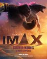 Brazilian IMAX poster