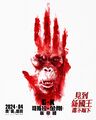 Hong Kong Skar King teaser poster