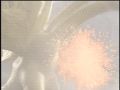 King Ghidorah feels the effects of Godzillas blast