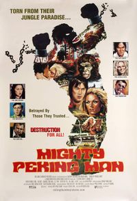 American 1999 poster