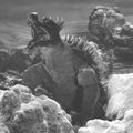 8. Anguirus