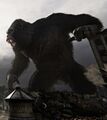 Kong in Kong: Survivor Instinct