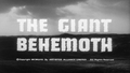 American title card