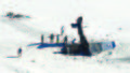 A downed American WWII-era fighter plane on South Stradbroke Island
