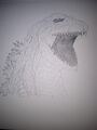 Another ShinGoji