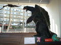 The Gamera 3: Revenge of Iris suit preserved in the Kitchen Café Gamera located inside Kadokawa Daiei Studio