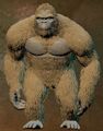 Kong's Mother as an alternate skin for Kong
