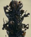 Godzilla's fifth form from Shin Godzilla