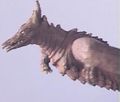 Rodan in Godzilla Island