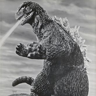 The KingGoji in King Kong vs. Godzilla