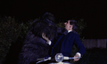 Konga killing Bob