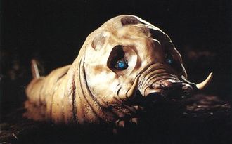 Mothra Leo's larval stage in Rebirth of Mothra