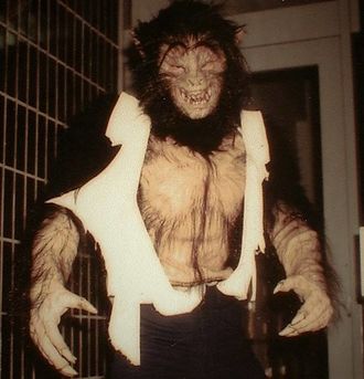 The Wolfman's werewolf form in Wolfman vs. Godzilla