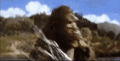 Kong wrestles with the Giant Sea Serpent