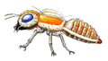 Mothra Imago concept art