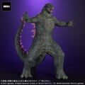Godzilla (2024) Evolved