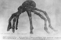 The Spider puppet that was used in the film