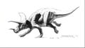 Triceratops