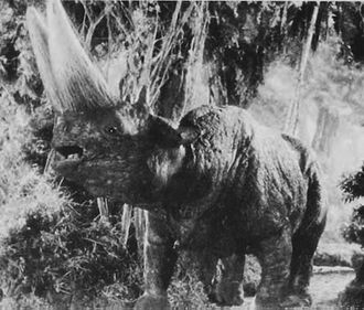 Test footage for the Arsinoitherium in King Kong (1933)