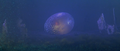 The egg begins to hatch