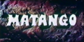 International title card
